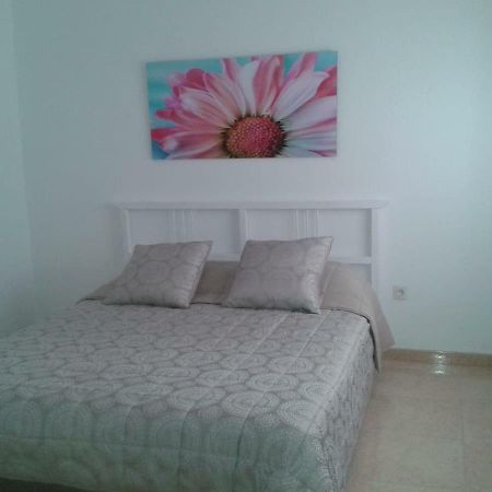 Confortable Piso En El Centro De Tenerife 圣克鲁斯-德特内里费 外观 照片
